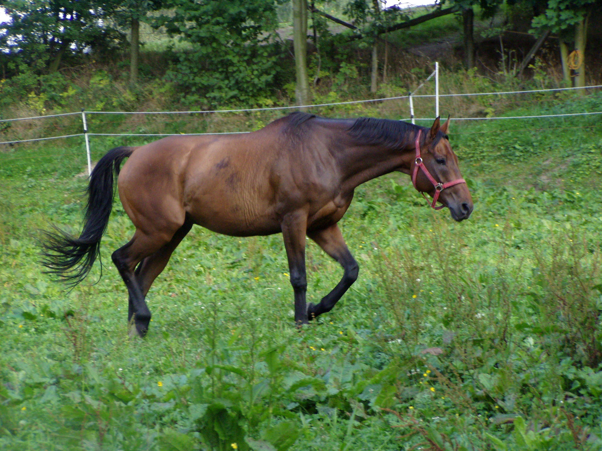 P9030032.JPG
